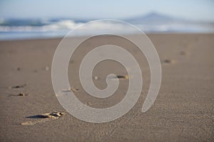 Track on sandy beach