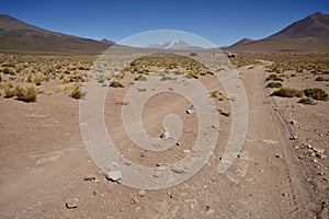 A Track through the Sud Lipez Region of Bolivia, with Pastos Grandes Caldera in the distance.