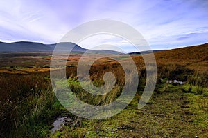 Track to Ingleborough