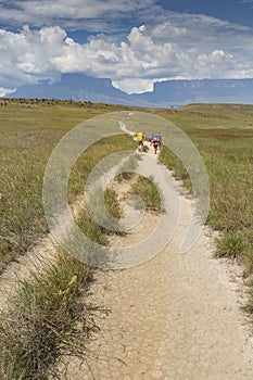 Track to Mount Roraima - Venezuela, South America