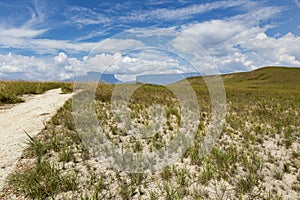 Track to Mount Roraima - Venezuela, South America