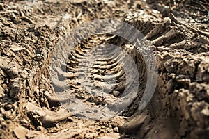 Track from a tractor tire in the ground at a farmer`s field photo