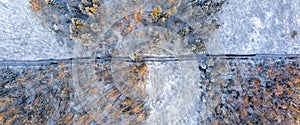 Track in wet ground left by logging tractor in winter forest from above