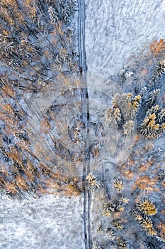 Track in wet ground left by logging tractor in winter forest from above