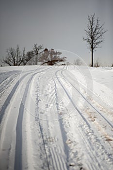 Tracked X Country Ski Trails with Bokeh