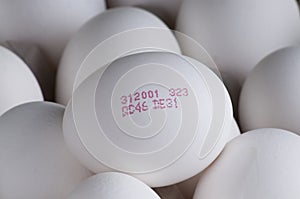 Tracking code and freshness oo eggs photo