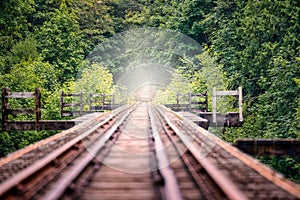 Tracks as far as the eye can see