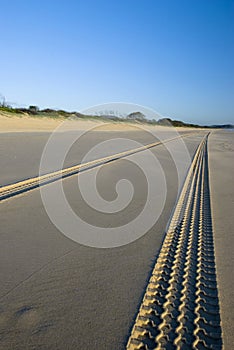 Brani sul Spiaggia ritratto 