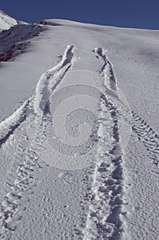 Tracks of car stop and reverse in the snow of an alpine slope.