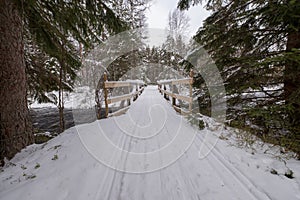 Tracks for crosscountry skiing in a swedish forest february 2018