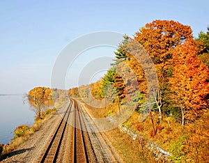 Tracks in the fall