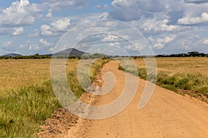 Tracks in Masai Mara National Reserve, Ken
