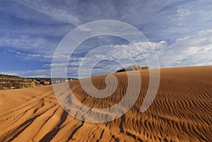 Tracks on the pink sand dune