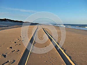 Tracks in the Sand on Hatteras Island