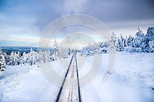 Tracks through snow