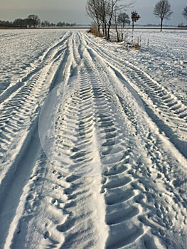 Tracks in the snow.