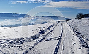 Tracks in the snow