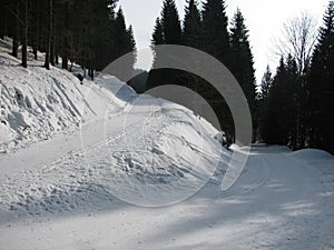 Tracks in the snow in winter forest