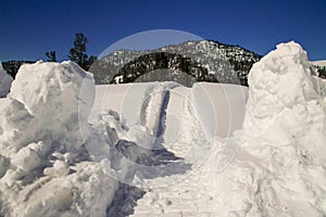 Tracks of a snowmobile in the winter forest.