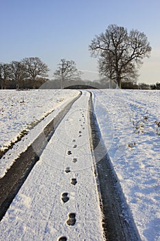 Tracks in snowy countryside