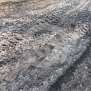 Tracks of a truck on a dirt road. Background
