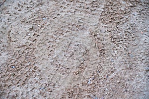 Tracks from the wheels of a bicycle on a dirt road made of sand. View from above. Close-up