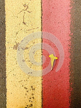 The tracks and the yellow flower