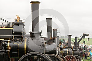 Traction engines at a steam fair