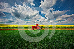 Tractor in the agricultural fields and dramatic clouds
