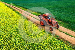 Tractor in the agricultural wheat and rapeseed fields and dramatic clouds