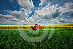 Tractor in the agricultural fields