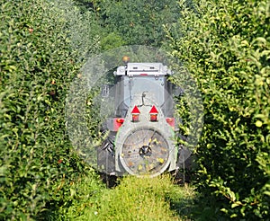 Tractor with an agricultural sprayer machine with large fan, spreads pesticides in an apple orchard