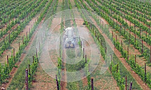 Tractor with agricultural sprayer machine sprinkls chemical pesticides  on the vineyards. Back side