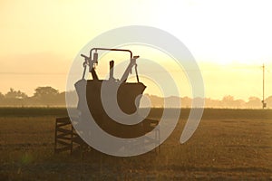 Tractor agriculture sunrises