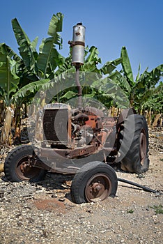 Tractor on banana plantation