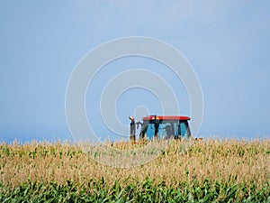 Tractor cab in middle of tall corn stalks in farm field