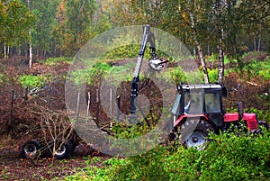 Tractor cleaning up forest debris