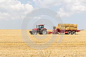 Tractor collecting straw bales during harvesting in the field at nice blue sunny day