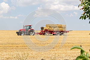 Tractor collecting straw bales during harvesting in the field at nice blue sunny day