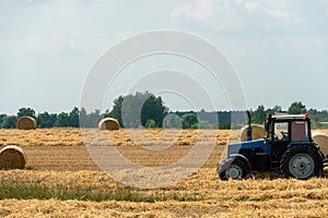 Tractor collects hay bales in the fields. A tractor with a trailer baling machine collects straw and makes round large bales for