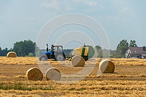 Tractor collects hay bales in the fields. A tractor with a trailer baling machine collects straw and makes round large bales for