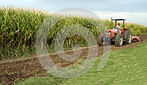 Tractor with Corn (Maize)