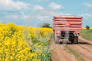 Tractor on country dirt road by the blooming rapeseed crop field