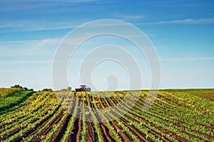 Tractor with crop sprayer equipment attached in cultivated maize field ready for herbicide treatment of weeds photo