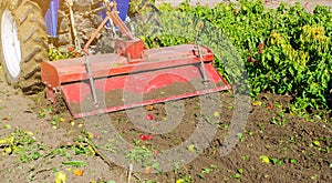 Tractor cultivates the soil after harvesting. A farmer plows a field. Pepper plantations. Seasonal farm work. Agriculture crops.