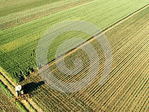 Tractor cultivating corn crop field, aerial view