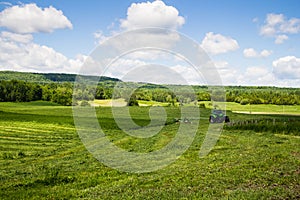 Tractor cutting hay field