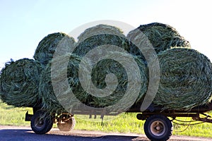 Tractor driven fresh hay rolled, after seasonal harvesting