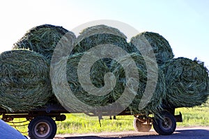 Tractor driven fresh hay rolled, after seasonal harvesting