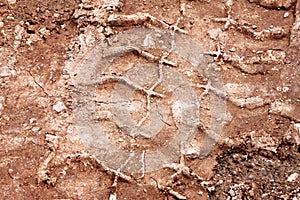 Tractor, excavator, car, automotive tire tracks on muddy trail. Mud and wheel trace on road after rain.